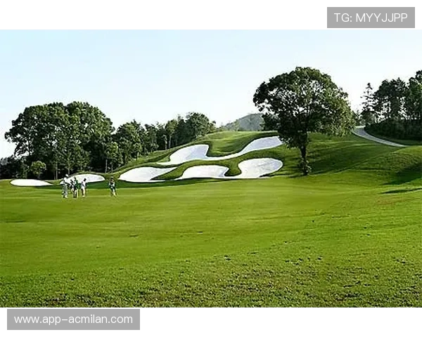 高尔夫球场出现神秘“回旋球”，理科生纷纷解构