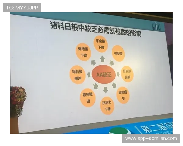 加拿大分组难度拓宽媒体关注范围：以精准分组驱动跨区域传播的行动方案