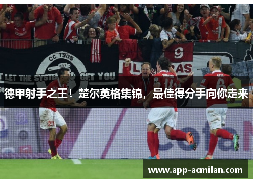 德甲射手之王！楚尔英格集锦，最佳得分手向你走来